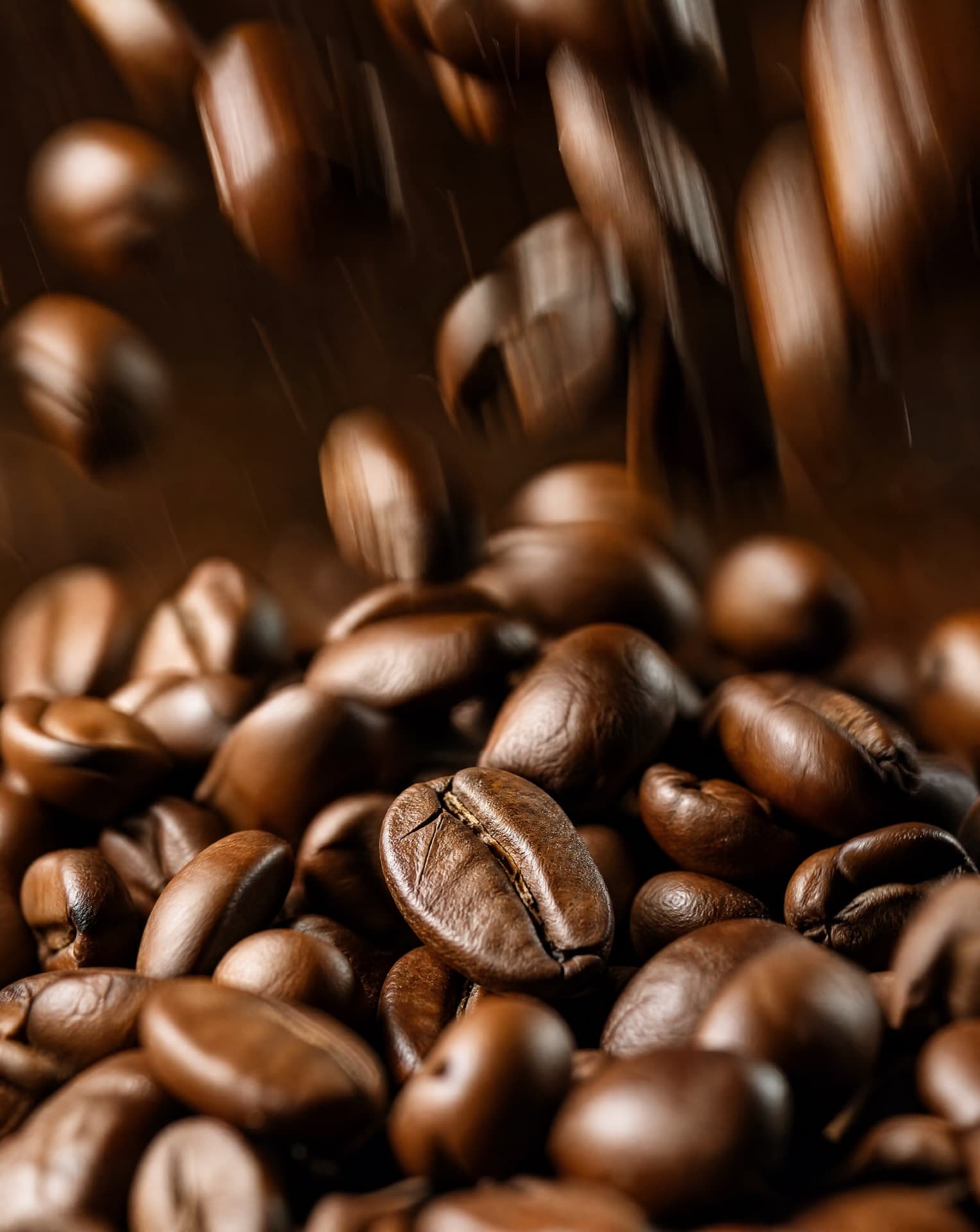 Bedford Coffee Roasters project