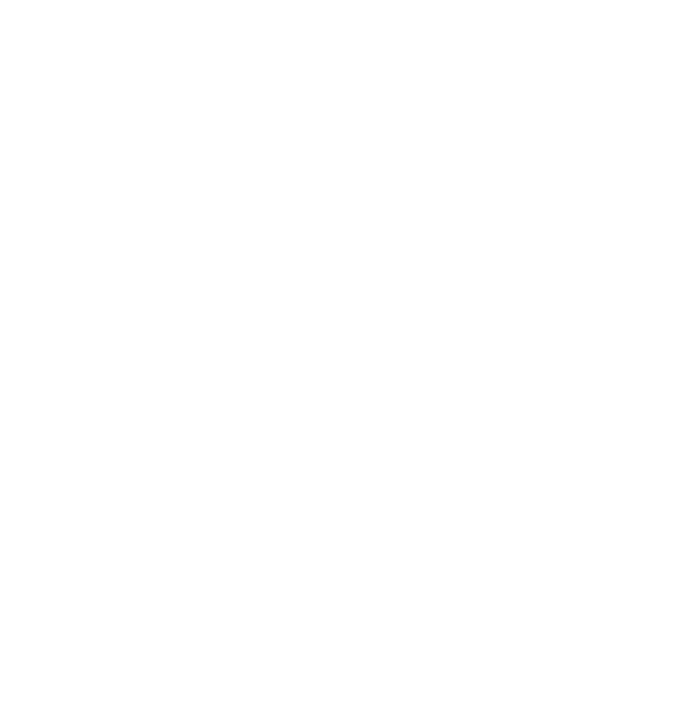 Seal Island Boat Trips